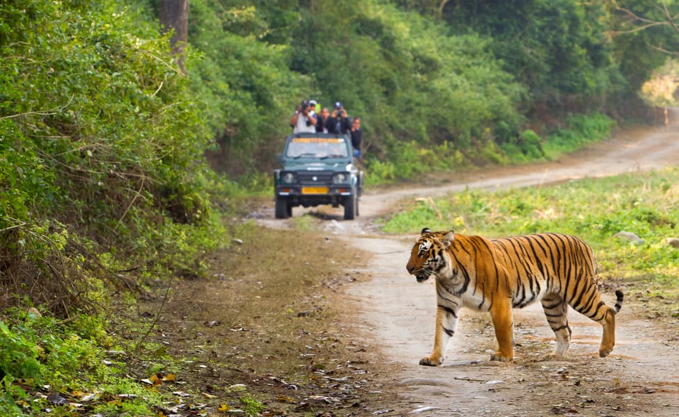 Jim Corbett National Park | Uttarakhand Tourism