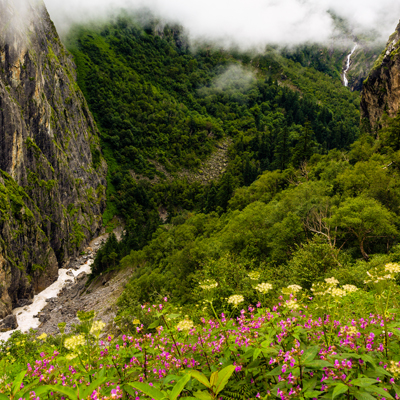 valley of flowers tour package from rishikesh
