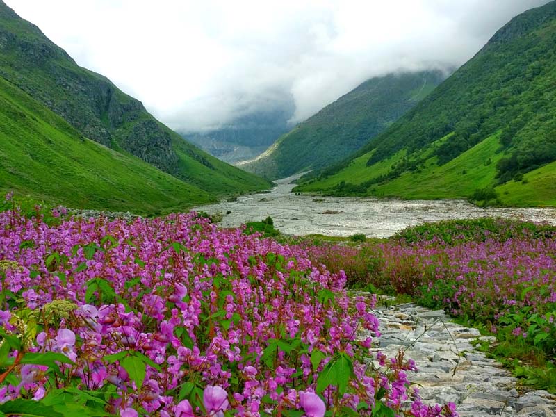 valley of flowers tour package