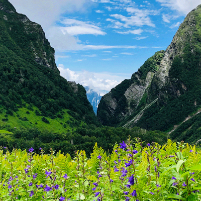 Feature image valley of flowers
